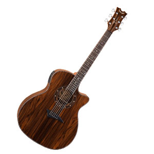 Dean Exotica Cocobolo – Proof That Affordable Isn't Necessarily Bland