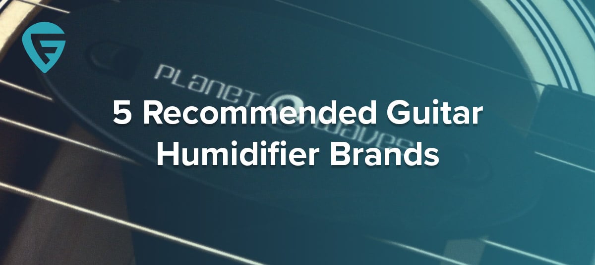 5 Recommended Guitar Humidifier Brands