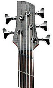 Ibanez SRFF805 Bass Guitar Headstock