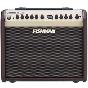 Fishman Loudbox Mini PRO-LBX-500 Review – Portable Package That Delivers Great Tone