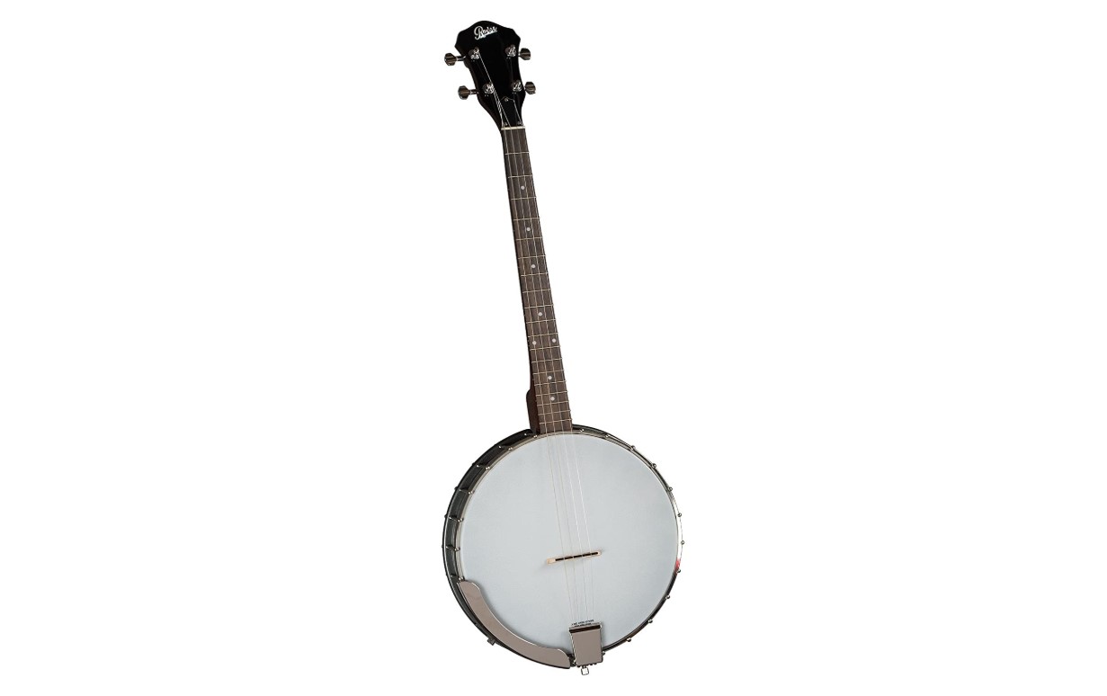 best beginner banjo Rover RV-20t